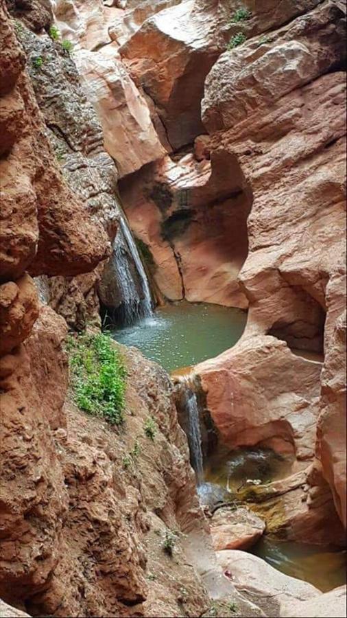 לינה וארוחת בוקר דמנאת Le Petit Jardin מראה חיצוני תמונה