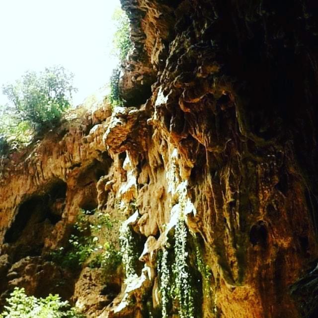 לינה וארוחת בוקר דמנאת Le Petit Jardin מראה חיצוני תמונה