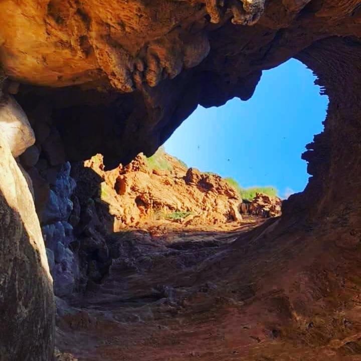 לינה וארוחת בוקר דמנאת Le Petit Jardin מראה חיצוני תמונה