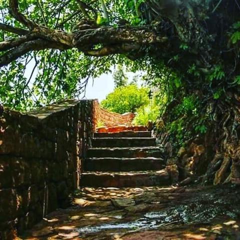 לינה וארוחת בוקר דמנאת Le Petit Jardin מראה חיצוני תמונה